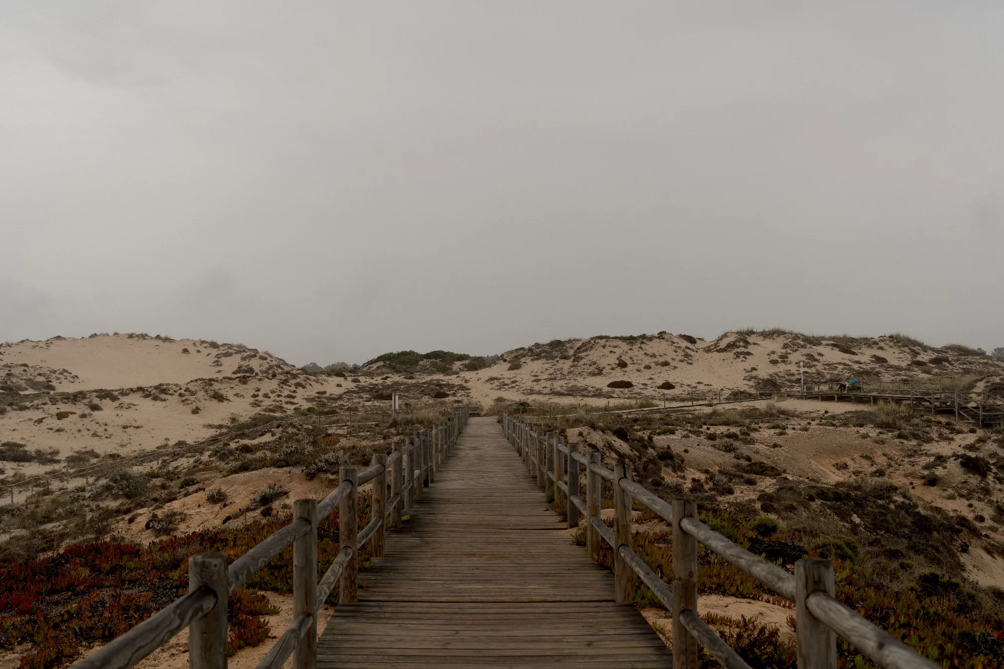 How to Explore the Cresmina Dunes Without Damage